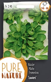 Do it + Garden Nüssler Feldsalat 'Louviers' 5g Gemüsesamen Nüssler Feldsalat 'Louviers' 5g Gemüsesamen Do it + Garden 287112600000 Bild Nr. 1
