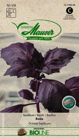 BIO Basilic Rosie Semences d’herbes arom. Samen Mauser 650282800000 Photo no. 1