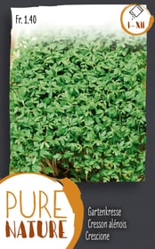 Do it + Garden Cresson alénois, simple 25g Semences d’herbes arom. Cresson alénois, simple 25g Semences d’herbes arom. Do it + Garden 287109000000 Photo no. 1
