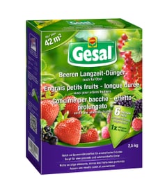 Beeren Langzeit-Dünger, 2,5 kg