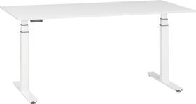 FLEXCUBE PROFI Bureau FLEXCUBE PROFI Bureau 401885300000 Dimensions L: 140.0 cm x P: 80.0 cm x H: 67.0 cm Couleur Blanc Photo no. 1