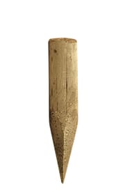 Palissade mini Poteau en bois Palissade mini Poteau en bois 647051200000 Taille L: 75.0 cm x L: 8.0 cm x P: 8.0 cm Photo no. 1