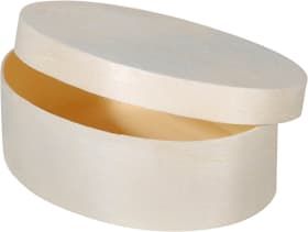 Spandose oval