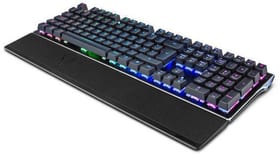 Medion Erazer X81699 Clavier Erazer X81699 Clavier Medion 785300144933 Photo no. 1
