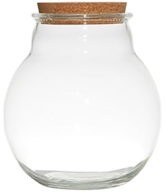 Terrarium Bubble Vase Hakbjl Glass 657612300000 Photo no. 1