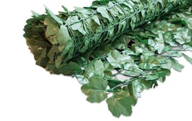 Windhager Sichtschutz Hecke Ahorn 1 x 3m grün Sichtschutzmatte Sichtschutz Hecke Ahorn 1 x 3m grün Sichtschutzmatte Windhager 785300182783 Bild Nr. 1
