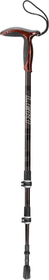 Black Series WSL2
