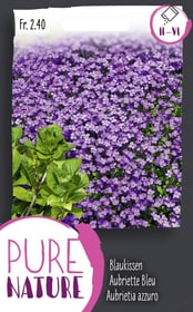Do it + Garden Aubriette Bleu, nain 0.5g Semences de fleurs Aubriette Bleu, nain 0.5g Semences de fleurs Do it + Garden 287305300000 Photo no. 1