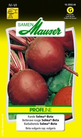 Samen Mauser Barbabietola Selma®-Beta Sementi di verdura Barbabietola Selma®-Beta Sementi di verdura Samen Mauser 650113704000 Contenuto 5 g (ca. 150 - 200 piante o 4 m²) N. figura 1