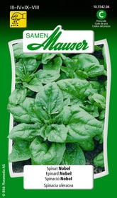 Samen Mauser Epinard Nobel Semences de legumes Epinard Nobel Semences de legumes Samen Mauser 650115202000 Contenu 25 g (env. 2 m²) Photo no. 1