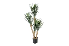 Yucca rostrata Kunstpflanze Do it + Garden 658958800000 Bild Nr. 1