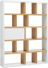 INDUS Scaffale INDUS Scaffale 407560300000 N. figura 1