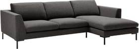 NEWTON Canapé d'angle NEWTON Canapé d'angle 405794850084 Dimensions L: 250.0 cm x P: 155.0 cm x H: 80.0 cm Couleur Anthracite Photo no. 1