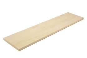 HolzZollhaus Pannello truciolare finitura di acero 16 mm Pannello truciolare finitura di acero 16 mm HolzZollhaus 643018200000 Longueur L: 1200.0 mm Dimensione 16 x 200 mm N. figura 1