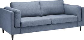 DIENER Canapé 2.5 places DIENER Canapé 2.5 places 405738700000 Dimensions L: 208.0 cm x P: 92.0 cm x H: 82.0 cm Couleur Bleu Photo no. 1