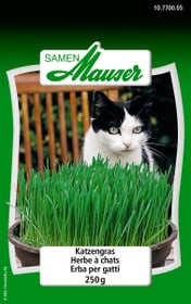 Samen Mauser Herbe à chats 250g Herbe a chats Herbe à chats 250g Herbe a chats Samen Mauser 650111002000 Contenu 250 g Photo no. 1