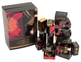 Womanizer Orion calendrier de l'avent avec exclusive Womanizer Starlet Orion calendrier de l'avent avec exclusive Womanizer Starlet Womanizer 785300156396 Photo no. 1
