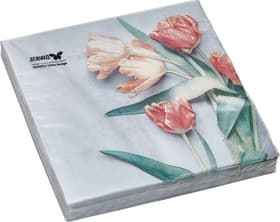 SPRING Serviettes en papier SPRING Serviettes en papier 445025200000 Photo no. 1