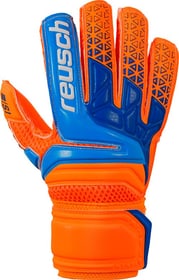 Prisma S1 Junior
