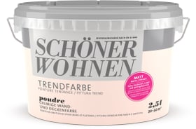 Schöner Wohnen Trendfarbe Matt Poudre 2.5 l Trendfarbe Matt Poudre 2.5 l Schöner Wohnen 660968200000 Farbe Poudre Inhalt 2.5 l Bild Nr. 1