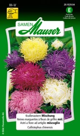 Krallenastern Mischung Blumensamen Samen Mauser 650102001000 Inhalt 0.75 g (ca. 100 Pflanzen oder 5 - 6 m²  ) Bild Nr. 1