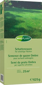 Mioplant Schattenrasen, 25 m2 Rasensamen Schattenrasen, 25 m2 Rasensamen Mioplant 659289700000 Bild Nr. 1