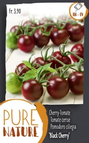 Do it + Garden Tomate-cerise 'Black Cherry' 0.1g Semences de legumes Tomate-cerise 'Black Cherry' 0.1g Semences de legumes Do it + Garden 287118000000 Photo no. 1