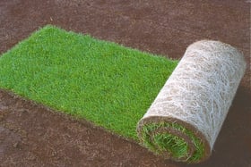 Gazon de placage par m²