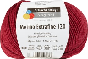 Schachenmayr Lana Merino Extrafine 120 Lana vergine Lana Merino Extrafine 120 Lana vergine Schachenmayr 665510300070 Colore Bordeaux N. figura 1