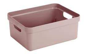 Sigma home Box 24L Aufbewahrungsbox Sigma home Box 24L Aufbewahrungsbox 603754800000 Farbe Rosa Grösse L: 445.0 mm x B: 345.0 mm x H: 180.0 mm Bild Nr. 1