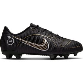 Nike Vapor 14 Academy FG/MG Chaussur de football – acheter chez sportxx.ch