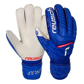 Reusch Fit Attrakt SG Finger Support Fussball-Torwarthandschuhe Fit Attrakt SG Finger Support Fussball-Torwarthandschuhe Reusch 461969508040 Grösse 8 Farbe blau Bild-Nr. 1