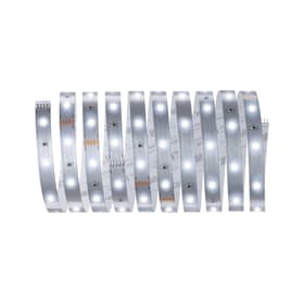 Paulmann MaxLED 250 Basisset 3 m, Tageslicht Light-Strip MaxLED 250 Basisset 3 m, Tageslicht Light-Strip Paulmann 615139200000 Bild Nr. 1