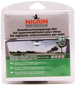 Scheibenversiegelungs-Set