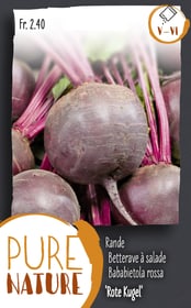 Do it + Garden Rande 'Rote Kugel' Rote Rübe 5g Gemüsesamen Rande 'Rote Kugel' Rote Rübe 5g Gemüsesamen Do it + Garden 287115400000 Bild Nr. 1