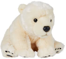 Eisbär