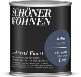 Schöner Wohnen Architects' Finest 100 ml Belém Belém 100 ml Architects' Finest 100 ml Belém Belém 100 ml Schöner Wohnen 660965400000 Colore Belém Contenuto 100.0 ml N. figura 1