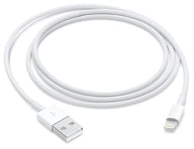 USB to Lightning 1m Kabel Apple 798713600000 Bild Nr. 1