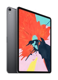Apple iPad Pro 12.9 WiFi 256GB spacegray iPad Pro 12.9 WiFi 256GB spacegray Apple 798462500000 Photo no. 1