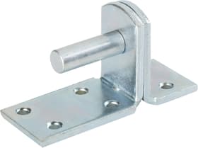 Do it + Garden Piastra di fissaggio con perno per bandella per imposte Piastra di fissaggio con perno per bandella per imposte Do it + Garden 605832800000 Taglio 104 x 39 x 23/13 mm N. figura 1