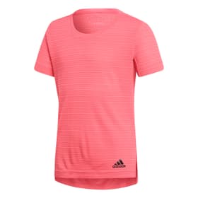 YG CHILL TEE