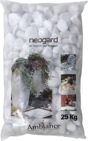 Ghiaia Bianco Carrara 25 kg Ghiaia Ghiaia Bianco Carrara 25 kg Ghiaia 647507800000 N. figura 1