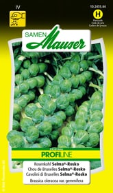 Samen Mauser Rosenkohl Selma®-Rosko Gemüsesamen Rosenkohl Selma®-Rosko Gemüsesamen Samen Mauser 650114001000 Inhalt 0.3 g (ca. 50 Pflanzen oder 10 - 12 m² ) Bild Nr. 1