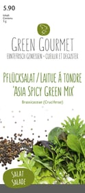 Do it + Garden Laitue 'Asia Spicy Green Mix' 5g Semences de gourmet Laitue 'Asia Spicy Green Mix' 5g Semences de gourmet Do it + Garden 287103900000 Photo no. 1