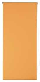POLAR Rollo POLAR Rollo 430745508234 Farbe Orange Grösse B: 82.0 cm x H: 185.0 cm Bild Nr. 1