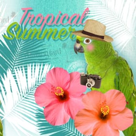 Feldner + Partner Avantgarde Serviette Saison, 20 Stk. 33x33 cm, Tropical Summer Avantgarde Serviette Saison, 20 Stk. 33x33 cm, Tropical Summer Feldner + Partner 665744600000 Bild Nr. 1