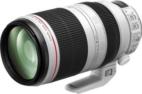 Canon EF 100-400mm 4.5-5.6 L IS II USM Objectif Zoom Objectif EF 100-400mm 4.5-5.6 L IS II USM Objectif Zoom Objectif Canon 785300126239 Photo no. 1