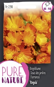 Do it + Garden Calendula officinalis'Ringula'einfach 3g Blumensamen Calendula officinalis'Ringula'einfach 3g Blumensamen Do it + Garden 287300800000 Bild Nr. 1