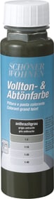 Vollton- und Abtönfarbe Anthrazitgrau 250 ml Vollton- und Abtönfarbe Schöner Wohnen 660902400000 Inhalt 250.0 ml Bild Nr. 1