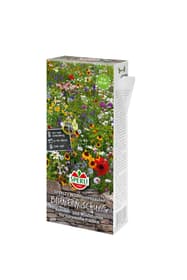 Sperli Mélange de fleurs comestibles Semences de fleurs Mélange de fleurs comestibles Semences de fleurs Sperli 650199500000 Photo no. 1